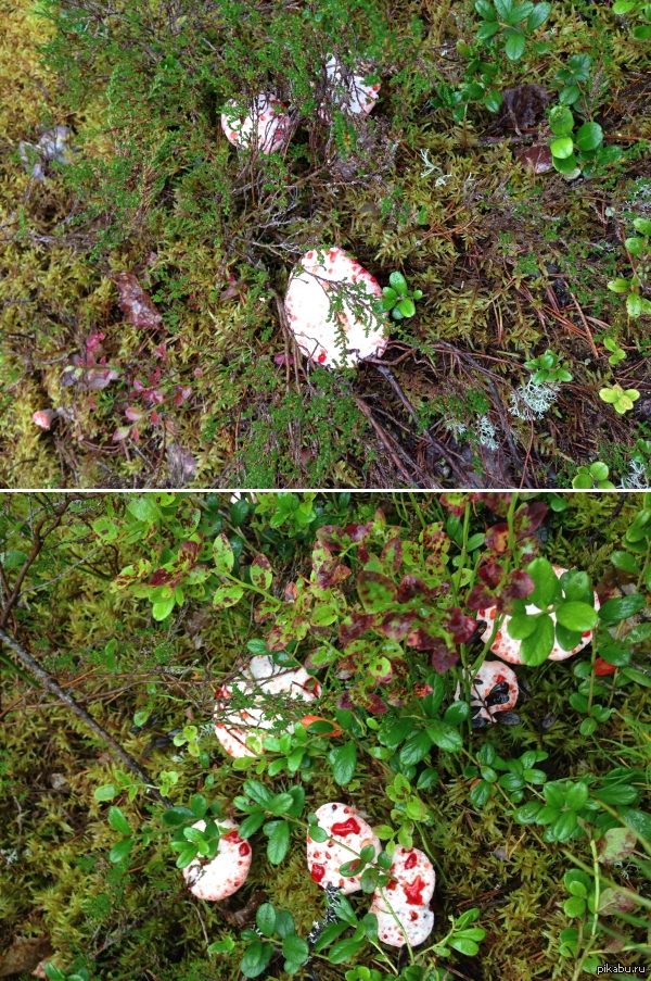 ��� � �������� � ������� =)