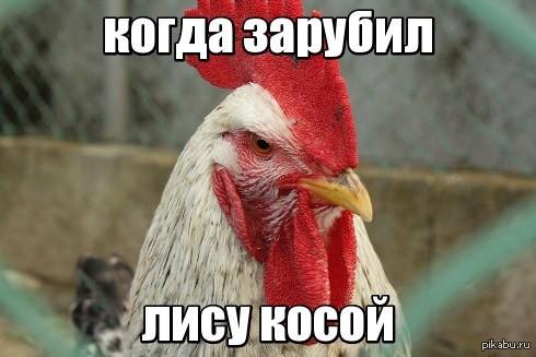         .  !