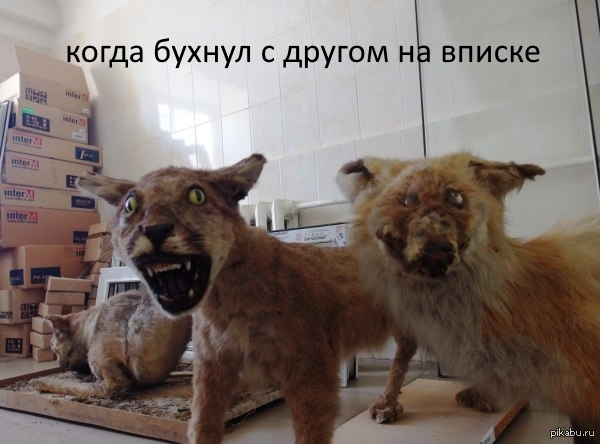 � ������ �� ������