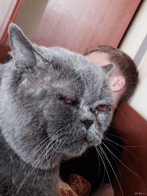 �� ����� ���-�� �������