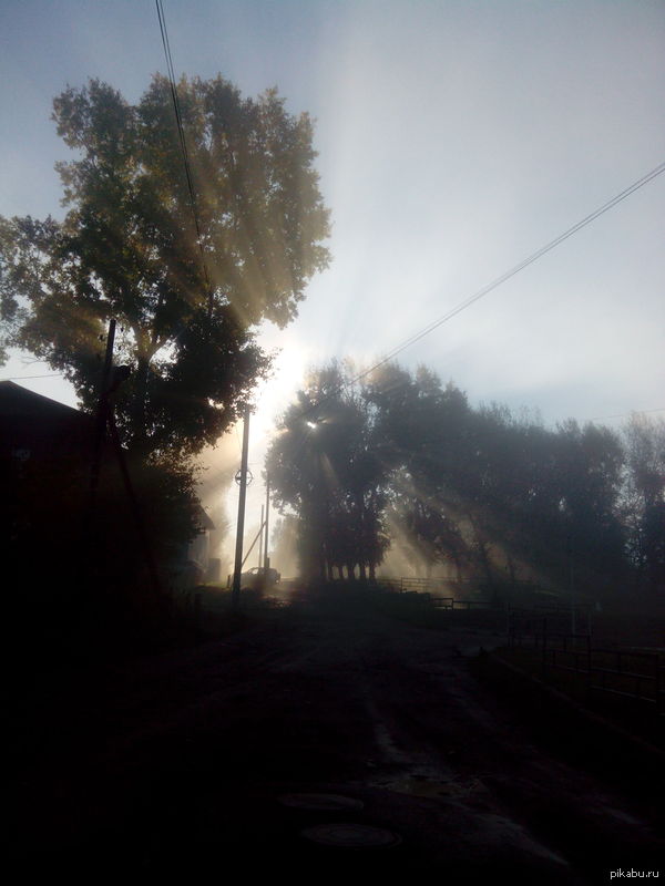 Утро туманное.