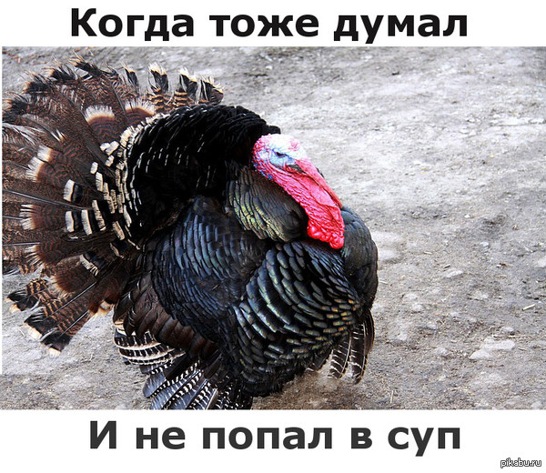 В свете последнего времени