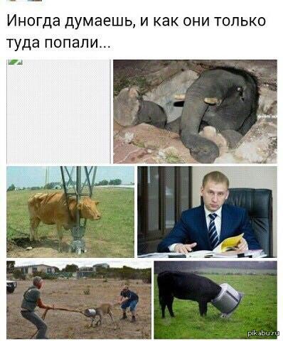 ����������