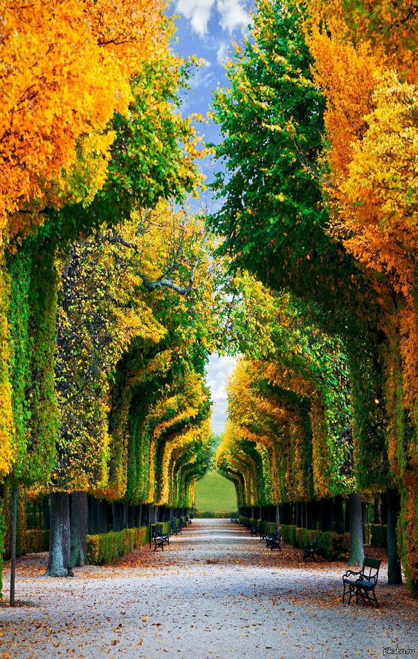     ...    Schonbrunn Gardens, , .