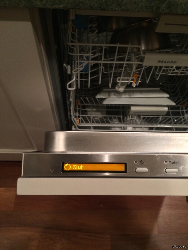 "���� ���� ����������� ��������".