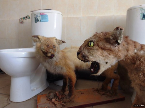 � ������� �� ������