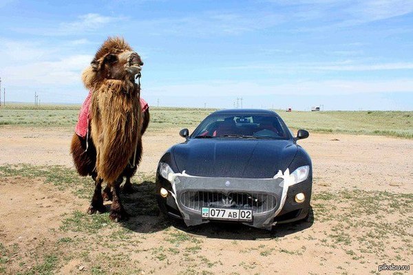 ����� �������� ��� � ���� � ����� ���� �������� � �������, �� ���� ����� �� �����.