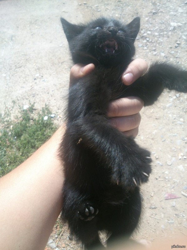 ����� �������� ������ �������, ���������� �� ����� ����)