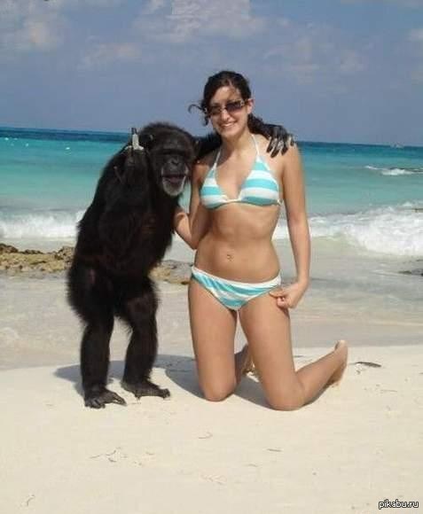 Even this cheeky guy has a girlfriend! - Monkey, Girls, Photo, Relationship