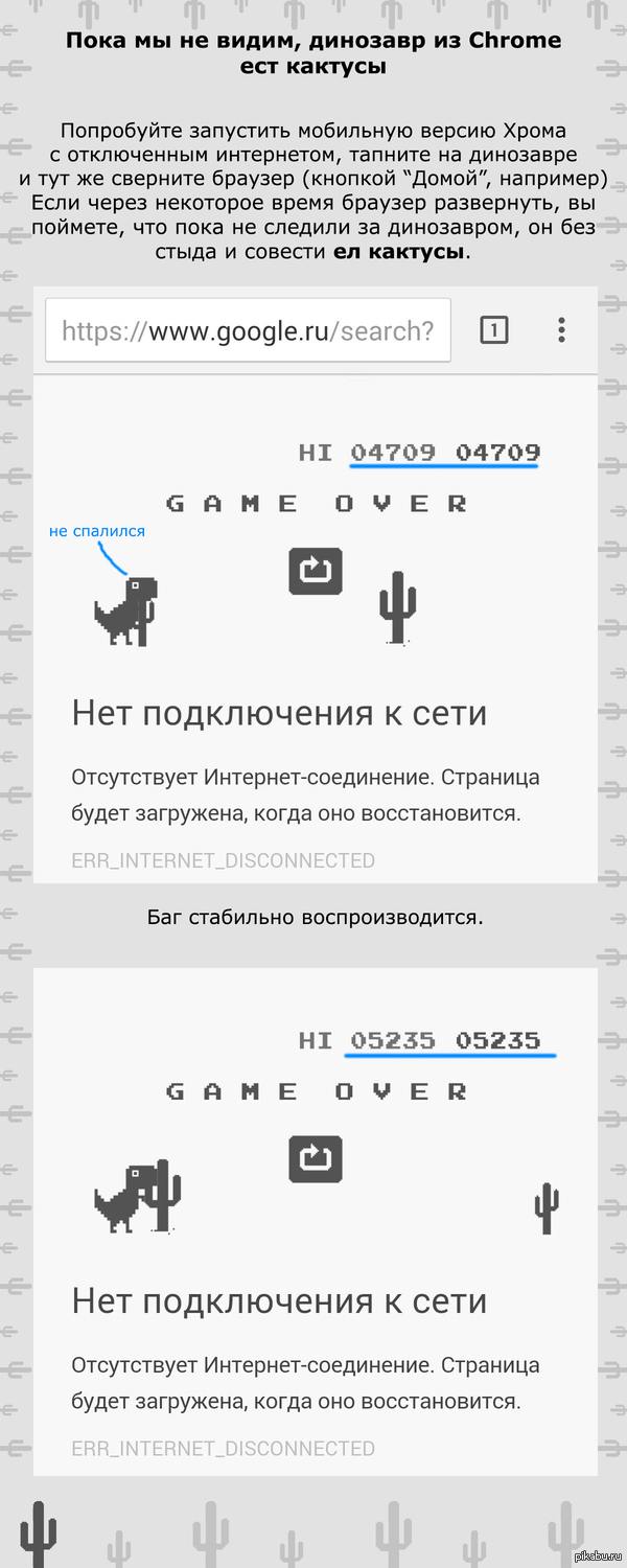 Chrome Dino: истории из жизни, советы, новости, юмор и картинки — Все  посты, страница 11 | Пикабу