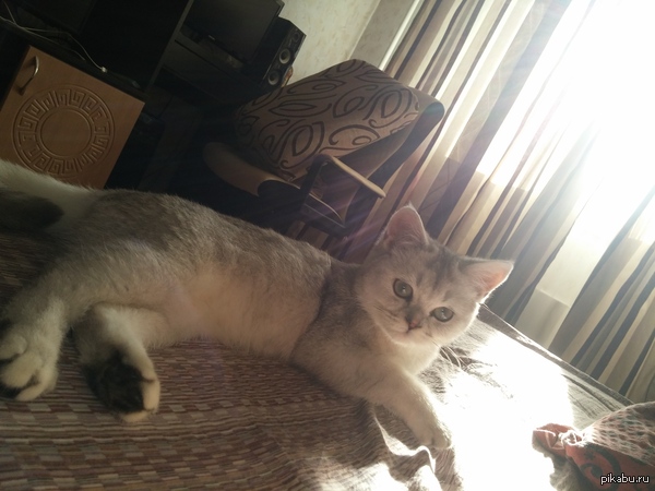 ��������� �������������,���������� ����� �� ����� ���. (4 ������.)