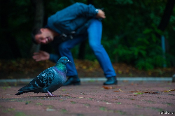 ������� ���� ������ ����������