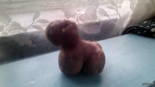 ����������)