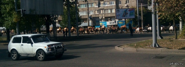 ��������� �������! �������� ����� � ����!