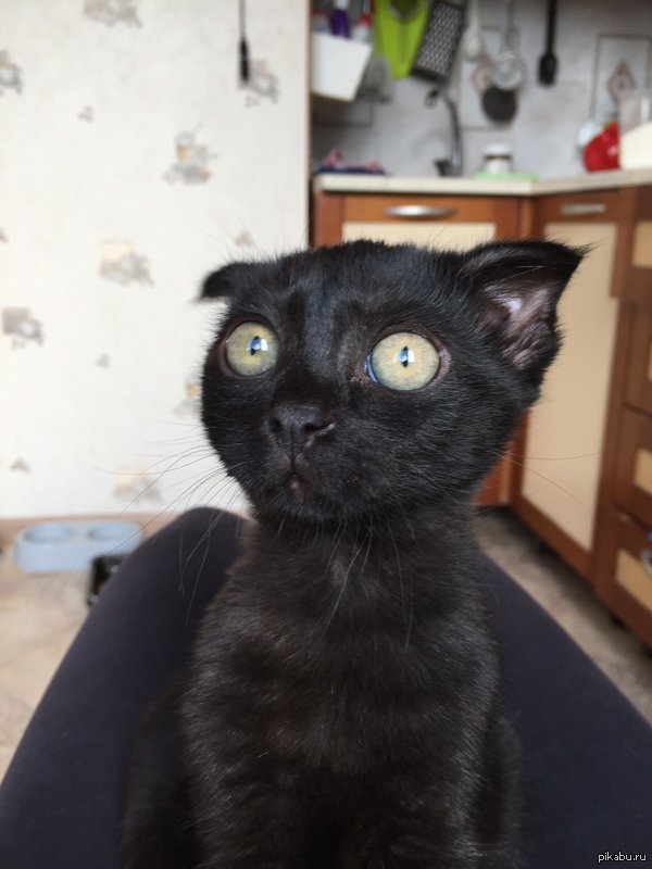 ������� ���� ����������� ������� �� ����� �������� �����?