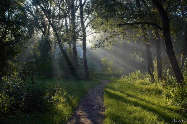 Early morning! - Nature, beauty, Photo, The photo