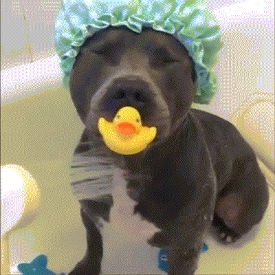 &quot;,      !&quot;