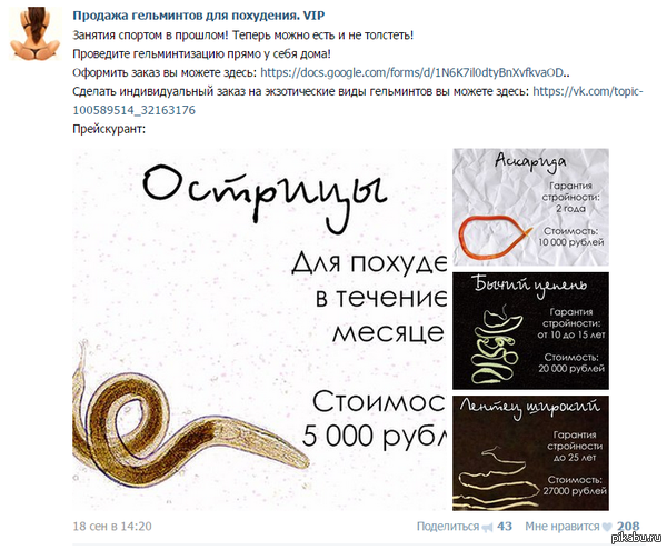 ������ �������