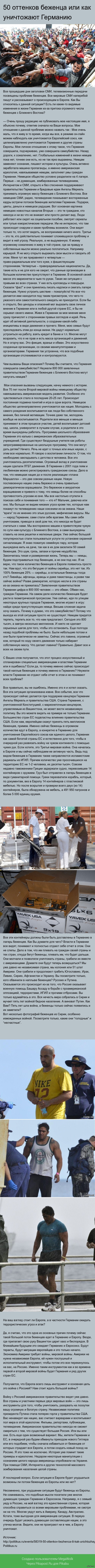 50 оттенков беженца или как уничтожают Германию