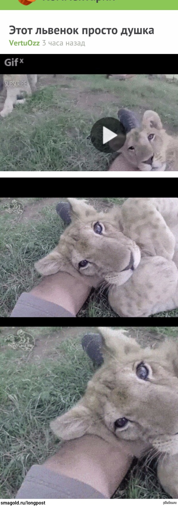 ������, ������, ����� � ����� ��������, ��� �����...