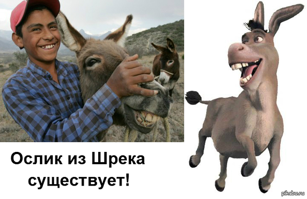 Он существует!))