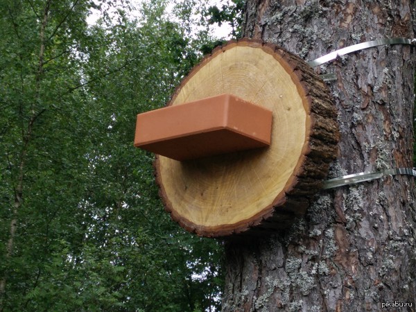 ����� � ����������� �� ������� ����� ���� �� �������� �����...