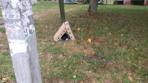 ���� ��������� ����� ��� ������� ^_^