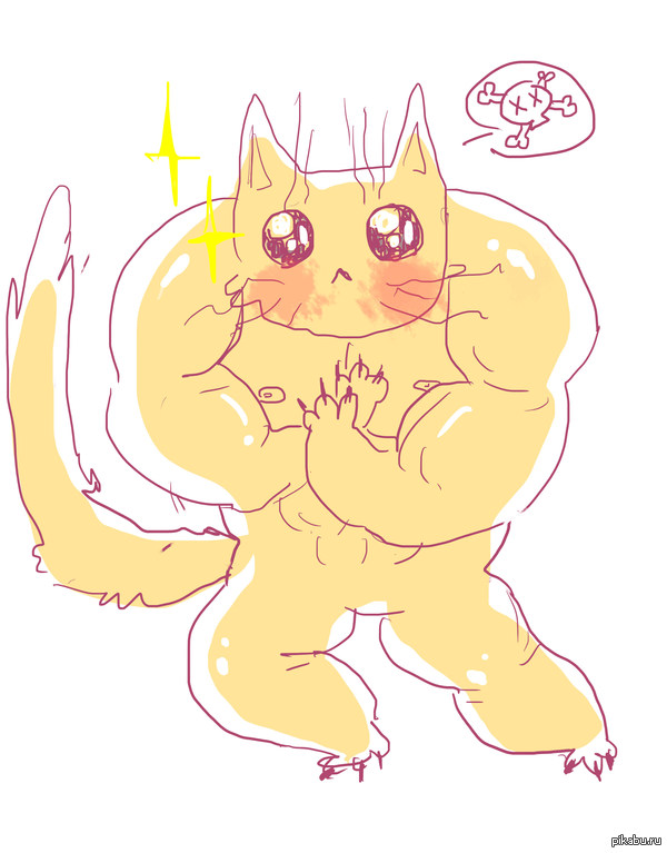 один знакомый кот