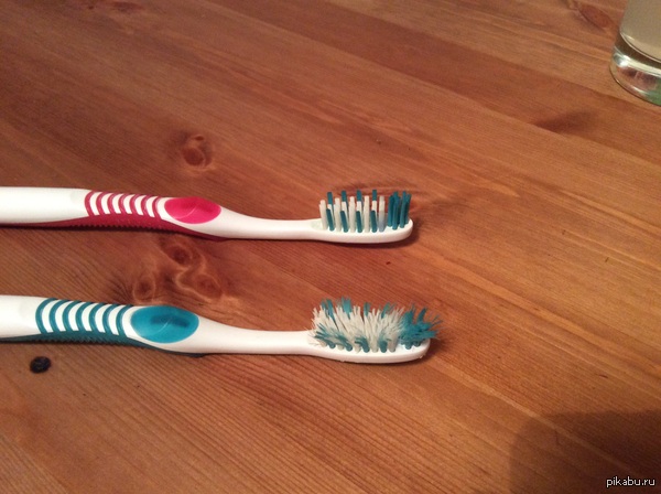 ������� ���� � ����� ����������� ������� 3 ������. ����� ������.