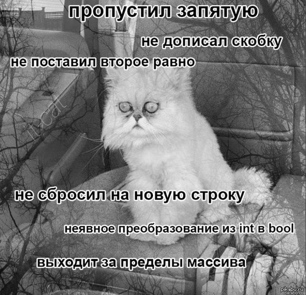 ������������ ������