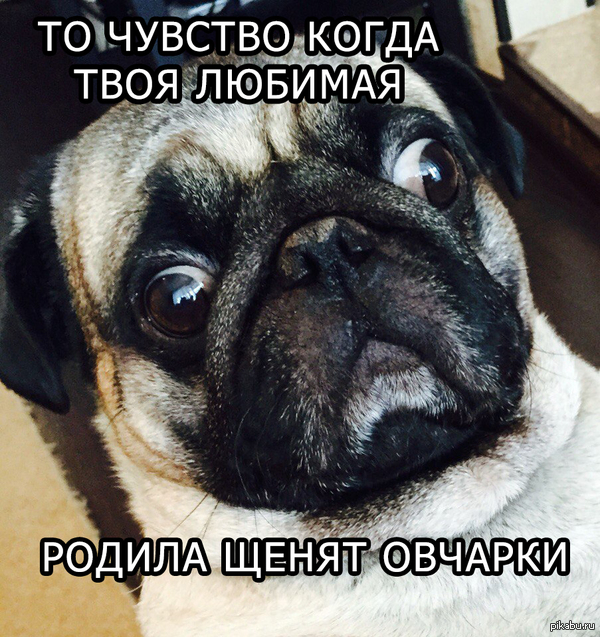 �� �������...