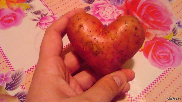 ��-��� ����� � �������