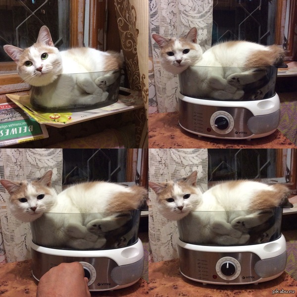 -�� �������! ��� ������ ��� ���.  -�� ��...