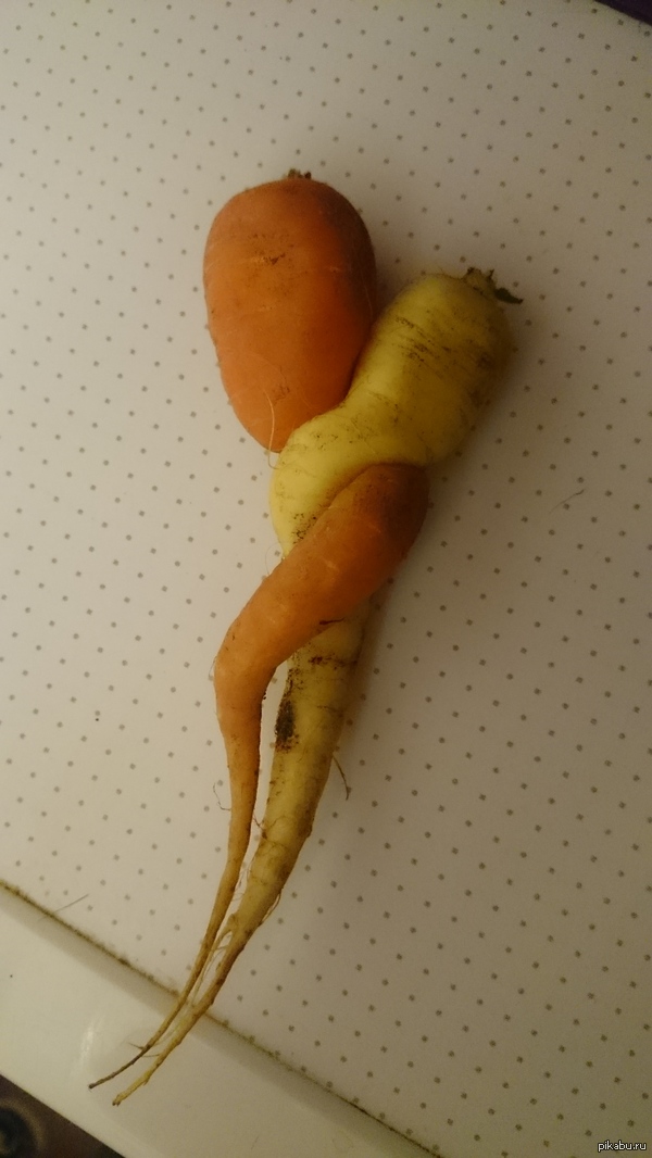��� ��� ������-�������...