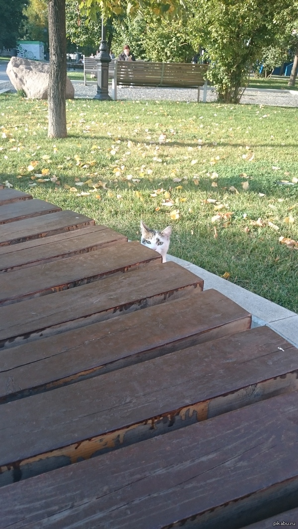 ��� �������...����� �� ��� �� ��������.