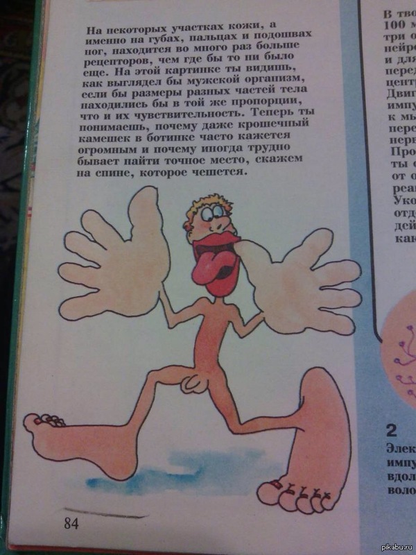 ������� ���� ����� �������������� ����)