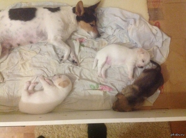 ����� ����� ���������� �����