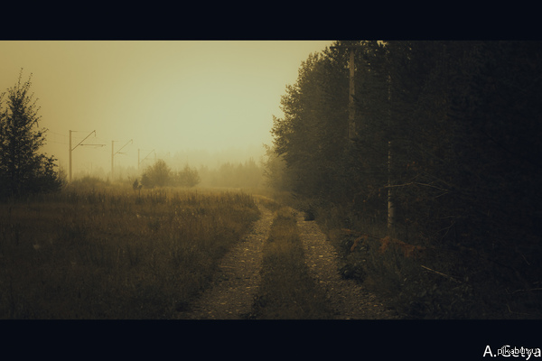 Fog. - Fog, Nature, Buryatia, My