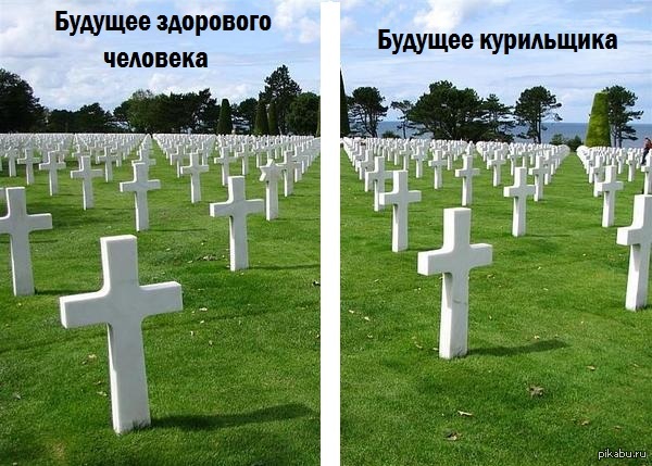 Зачем платить больше, если нет разницы?