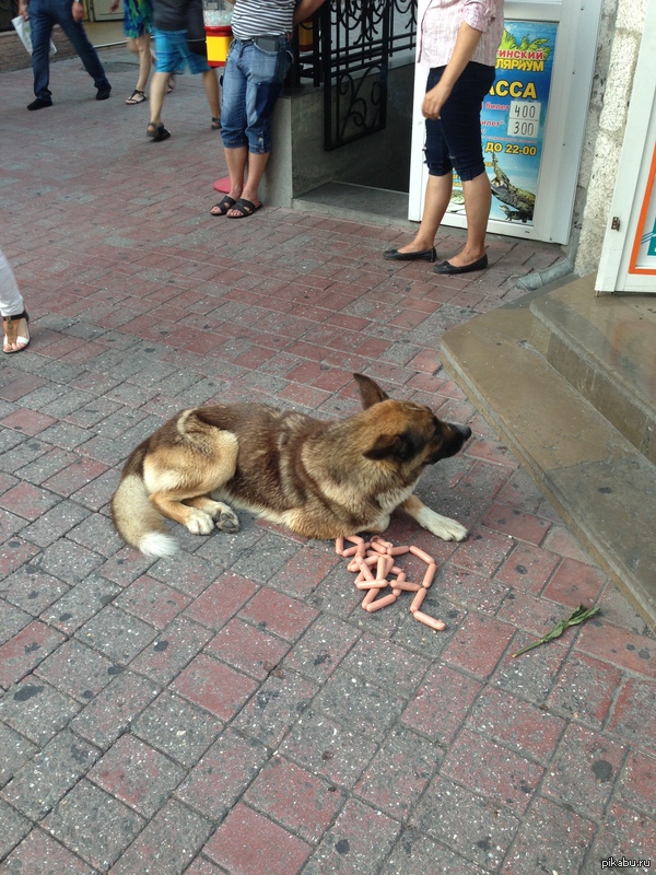 �� ������ ��������� � �����(���� iphone5)