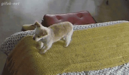 &quot;- ,  !    , ... -    ?! - , ,  ...&quot;