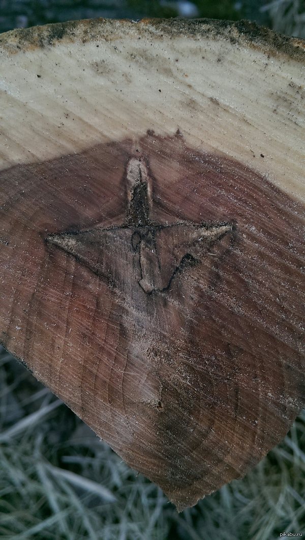 ����� ������ ������ ���� � ��������