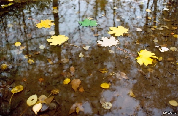 Осень 2011