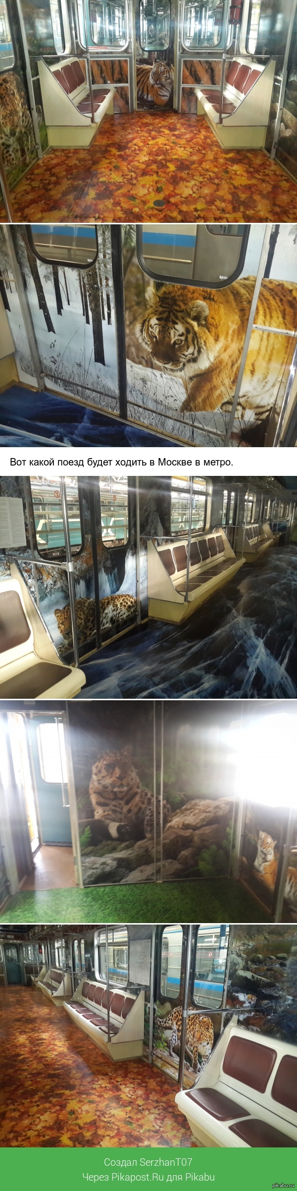 Striped flight in Moscow in the subway. - My, My, Moscow Metro, Beautiful, Longpost