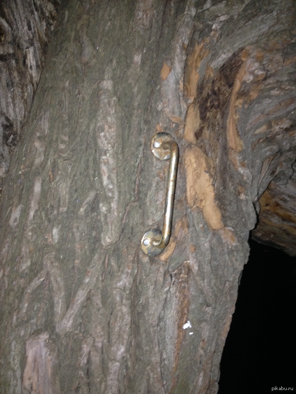 � ���� ������ ���� ������. �����?