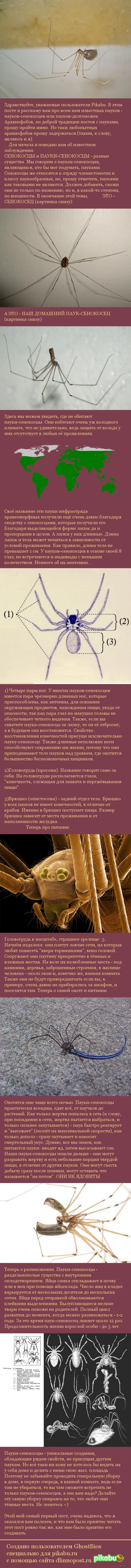 ��� ������-����������.