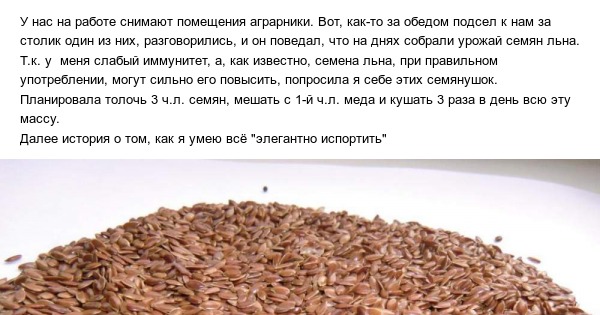 Проросшие семена льна | Пикабу