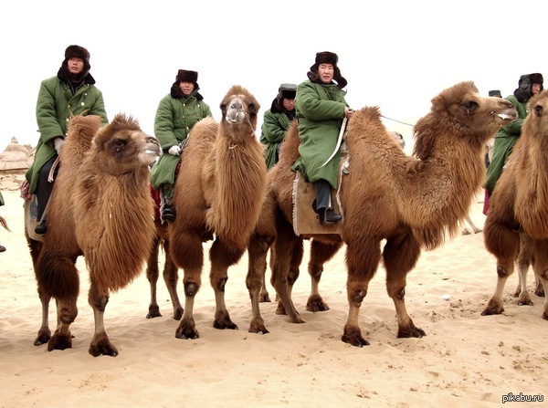 ��������� ��������� ���������