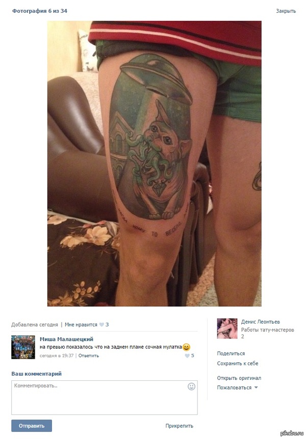 ����������...