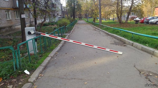 ������ �����, ���������